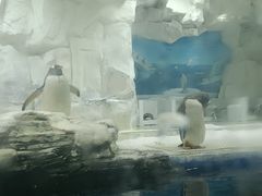 -西安华夏文旅水世界