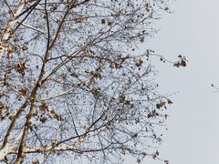 -鼓楼(西湖风景名胜区)