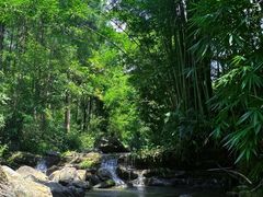 -飞霞风景名胜区