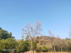 -合肥野生动物园