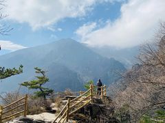 -牛背梁国家森林公园