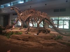 -自贡恐龙博物馆