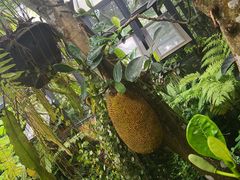 -Cheevit Cheeva(Sirimangkalajarn)