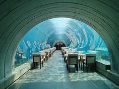 -海棠湾洲际-涛·海底餐厅·美人鱼·自助餐·海底隧道