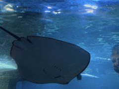 -石家庄海洋公园