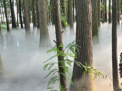 -东湖落雁景区