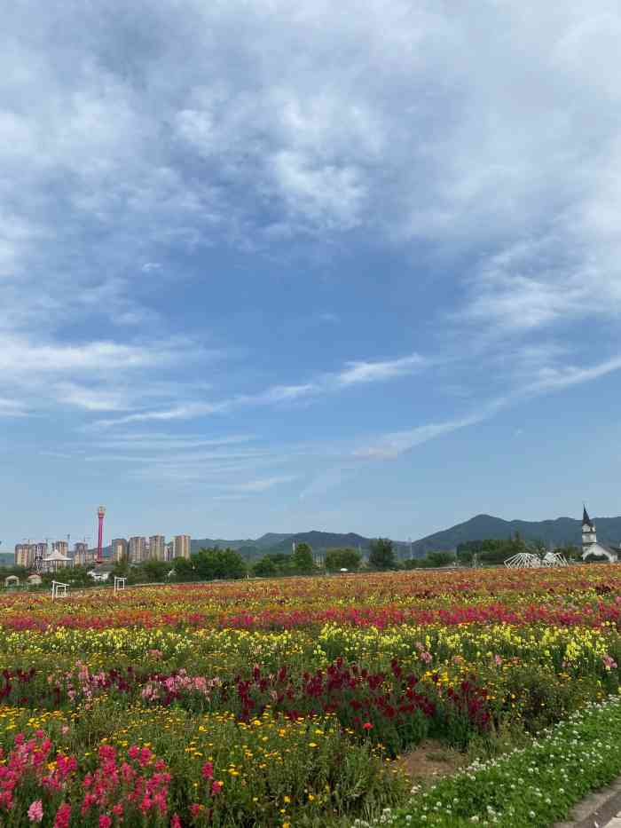 蔚然花海"蔚然花海,名字很好听.地方在龙泉驿区,打-大众点评移动版