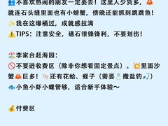 -日照灯塔风景区