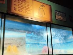 -海合安武汉极地海洋公园