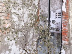 -边渡咖啡烘焙店(昙华林店)