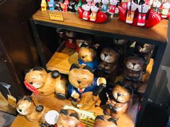 -猫咪博物馆(顶澳仔猫街店)