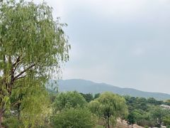 -北京西山国家森林公园