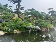 -罗红摄影艺术馆