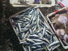 -登州市场(登州路店)