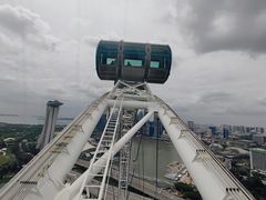 -新加坡摩天观景轮