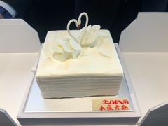-BLACKSWAN黑天鹅(环球店)