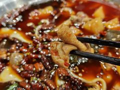 -晓彭肥肠鸡·泡椒鸡火锅(水木天地店)
