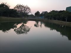 -福田红树林生态公园