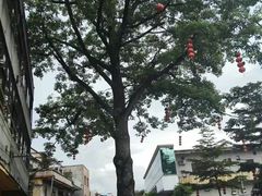 -黄连大头华烧鹅(萧地大马路店)