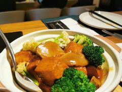 日式花菇豆腐煲-T館·花园艺术餐厅