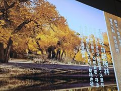 -西域胡氏大盘鸡(谈固店)