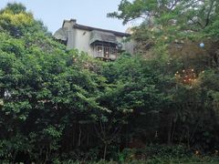 -老洋房花园饭店(绍兴路店)