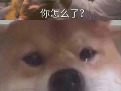 -王婆大虾(五道口店)