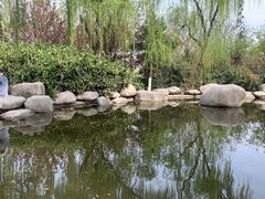 -西安青龙寺遗址景区