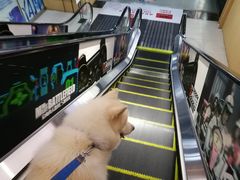 -天空之城·明日世界(南亚店)