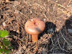 -北京宽沟会议中心