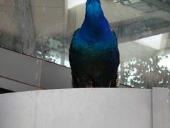 -鄂尔多斯野生动物园