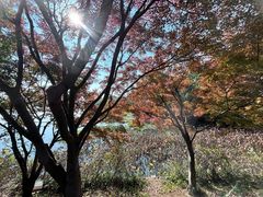 -长广溪湿地公园