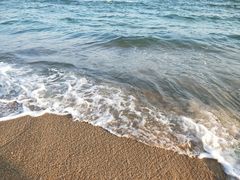 -玫瑰海岸文化旅游度假区
