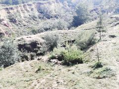 -鄂尔多斯野生动物园