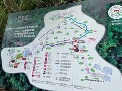 -野象谷景区