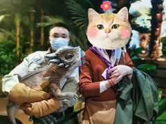 -侏罗纪世界电影特展(广州站)