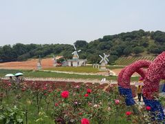 -松山湖梦幻百花洲