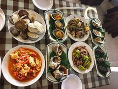-广鹿岛
