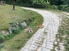 -深圳野生动物园