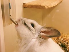 -龙猫仔乐园(惠福东路店)