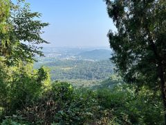 -北京西山国家森林公园