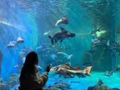 -多彩贵州城极地海洋世界