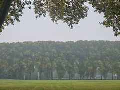 -河南省黄河迎宾馆