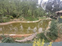 -云南野生动物园