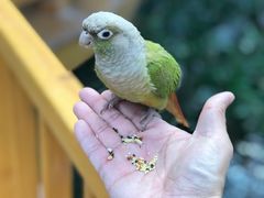 景点-南宫五洲植物乐园