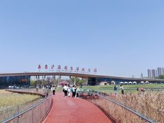 -西安浐灞国家湿地公园