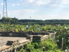 -田园东方蜜桃村的田野营地