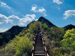 -大岭沟猕猴桃谷风景区