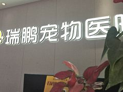 -瑞鹏宠物医院•异宠•宠保定点•流浪定点救助宠物医院(青祁店)