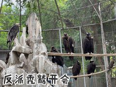 -银川动物园